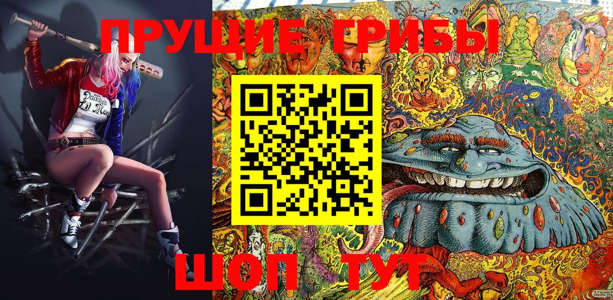 Мурманск  Галлюциногенные грибы Psilocybe  наркота  Вход с VPN 